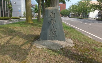 白雲桜の碑